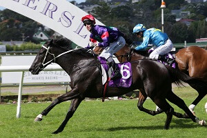 Statham (NZ) wins the Group 3 Stella Artois Concorde Handicap. TDunell.